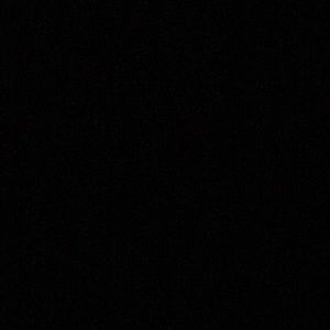 Meet your Posher, Darius